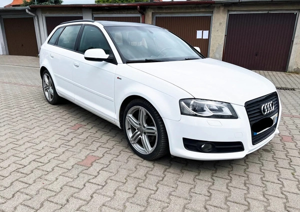 Audi A3 cena 33800 przebieg: 299000, rok produkcji 2010 z Krotoszyn małe 172